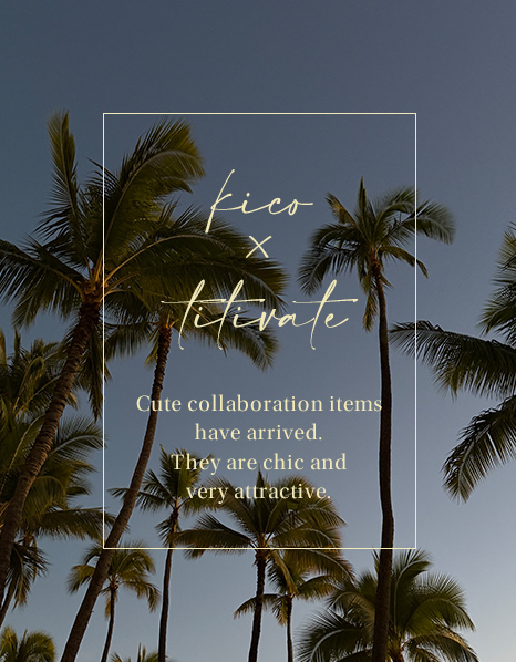 きこビキニセット水着を使用したコーデ