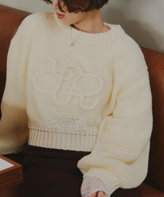 透かし編み刺繍クロップドプルオーバー | titivate